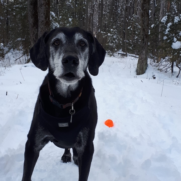 Meet your Posher, Martine - Picture 1 of 1